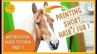 WATERCOLOUR Horse TUTORIAL Part 1: How to paint SHORT HAIR /FUR for beginners