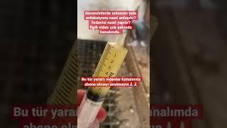 Güvercinlerde solunum yolu enfeksiyonu tedavisi