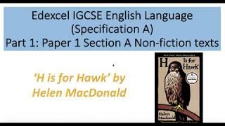 Analysis of 'H is for Hawk' by Helen MacDonald