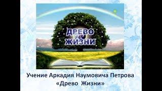 Учение Аркадия Петрова Древо Жизни Руки человека