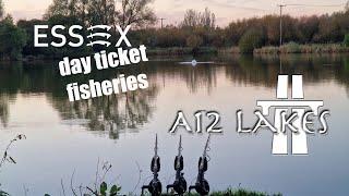 Carp Fishing / Essex Day Tickets - A12 Lakes