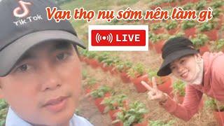 vạn thọ làm nụ sớm nên tưới phân gì - huỳnh thủy tinh vlog