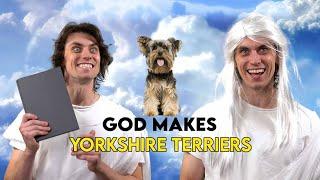 God Makes Yorkshire Terriers