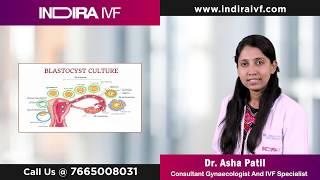 Blastocyst Culture | Blastocyst Development | Dr Asha Patil | Indira IVF (Kannada)