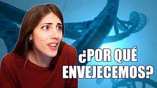 ¿Por qué ENVEJECEMOS? | La Hiperactina