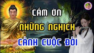 Cám Ơn Những Nghịch Cảnh Cuộc Đời - Vì Nó Đã Giúp Ta Có Thêm Bản Lĩnh Và Mạnh Mẽ -Suy Ngẫm Cuộc Sống