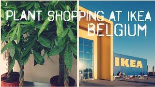 Plant Shopping at Ikea - Belgium