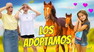 ADOPTAMOS 2 CABALLOS Y HACEMOS CARRERAS! DANIELA PIERDE Y SE ENFADA MUCHÍSIMO / DivertiGuay