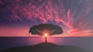 Get Restful, Healing Sleep