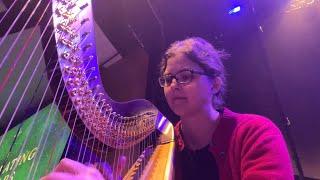 Christmas Vlog: 7 December concerts as a professional harpist