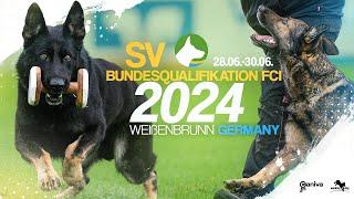 SV Bundes FCI 2024 / Fero vom Weggefährten / Udo König / working-dog