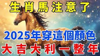 生肖馬注意了！2025 年一定要穿這個顏色，鴻運當頭擋不住，好運主動找上門，大吉大利一整年！【禪定自在】#生肖 #運勢 #命理 #屬相 #風水