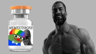 Testosterone is OVERRATED