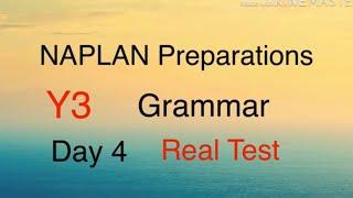 NAPLAN Preparations Year 3 Grammar Day 4 - Types of sentences and articles for Real Test