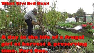 A day in the life of a frugal girl at harvesting & preserving time. Part 1.