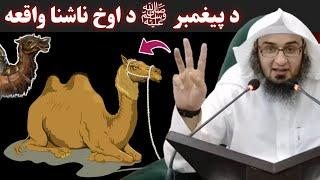 Stories of buying Camels - Sheikh Abu Hassan ishaq swati - abo hassan Salafi