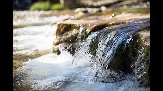 Beautiful Sound River Flows in you | Extended Version#riversounds#naturesounds#2024trending#relaxing