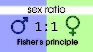 Sex ratio. Fisher's principle. Evolutionarily stable strategy