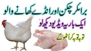 Broiler chicken and its negative impact on health