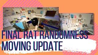 Rat Randomness Rat Room Final Update