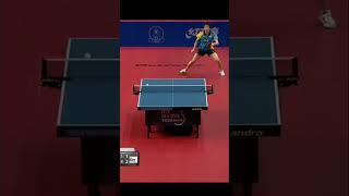 mizutani vs Dima #tenismeja #tabletennis #pingpong #shorts