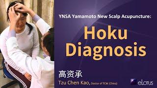 YNSA Yamamoto New Scalp Acupuncture: Hoku Diagnosis