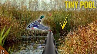 Decoying DUCKS Into A TINY Hole! (Limited Out) | Solo 28 Gauge Duck Hunt