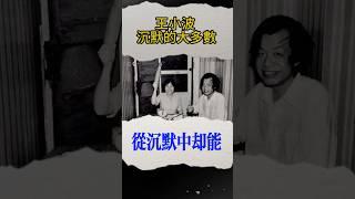 王小波沈默的大多數