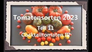 Tomatensorten 2023 Teil 11 - Cocktailtomaten III