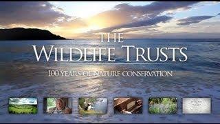 100 years of nature conservation