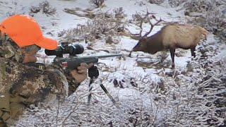 Big Bulls on Public Land - Rifle Elk Hunting (Eastmans' Hunting Journals)