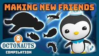 @Octonauts -  Making New Friends  | 3 Hours+ Full Episodes Marathon