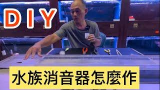 小李先生來分享 水族用消音器自己動手作～姐の水族生活22 #龍魚#紅龍#龍魚專賣店