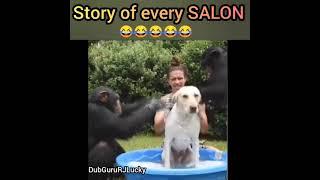 Everytime in SALON 