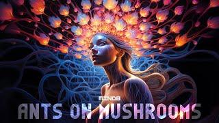 MindB - Ants on Mushrooms (Official Music Video)