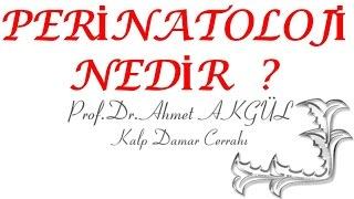 Gebelik takibi ve Perinatoloji - Prof. Dr. Ahmet AKGÜL - ahmetakgulTV