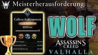 Assassins Creed Valhalla Calleva Außenposten Gold Meisterherausforderung Wolfs Prüfung AC Wolf Tipps