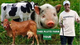 Finally let’s visit Thee Pluto’s farm