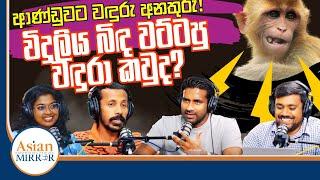 ආණ්ඩුවට වඳුරු අනතුරු! විදුලිය බිඳ වට්ටපු වඳුරා කවුද? | Rasika Jayakody | Yureshani | Chamara | Supun