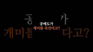 공매도 때문에 개미가 죽는다? 공매도에 대한 오해 #주식공부 #주식 #주식강의 #공매도