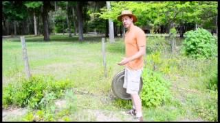 Crash Gardening with David Goodman, Episode 3: Easy Pest Control