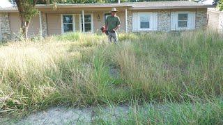 I UNCOVERED a WALK WAY while MOWING this CITY VIOLATION OVERGROWN YARD for FREE