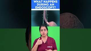 What happens during an Endoscopy?