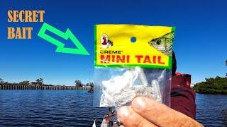 NON-STOP Bite Fishing with This SECRET BAIT