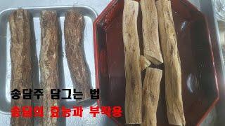 송담주 담그는 방법 ㅣ 송담  채취시기 ㅣ 송담의 효능과 부작용 ㅣ소나무 기생식물 ㅣ