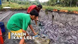 Cicipi Lezatnya Camilan Favorit Si Bolang yang Bikin Nagih! | SI BOLANG (28/05/24)*