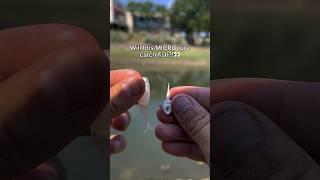 Will this MICRO lure catch fish?! #fishing #shorts