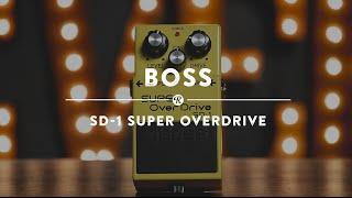 Boss SD-1 Super Overdrive | Reverb Demo Video