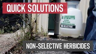 Quick Solutions: What are Non-Selective Herbicides?