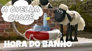 Hora do Banho | 1° temporada EP 2 | A Ovelha Choné em Português-Portugal